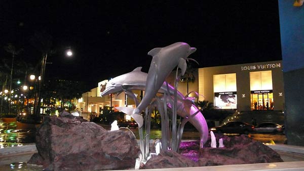 イルカの夜景写真